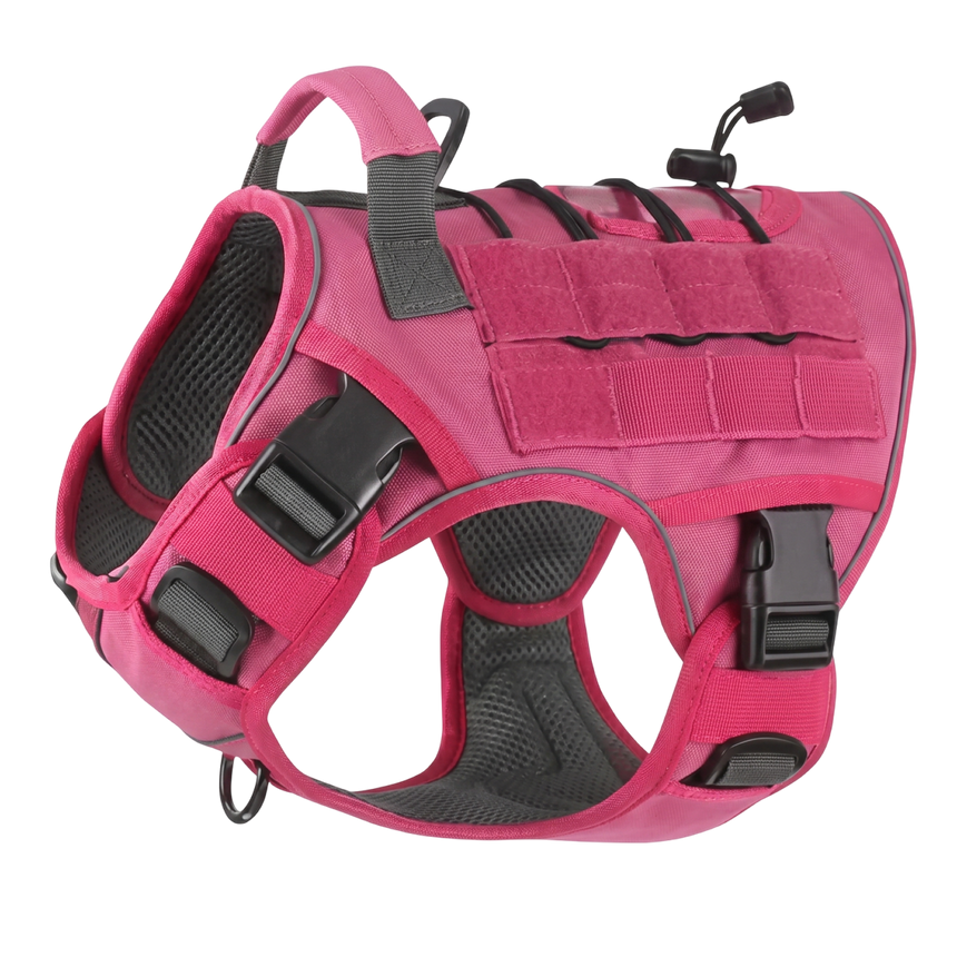 RoveTac