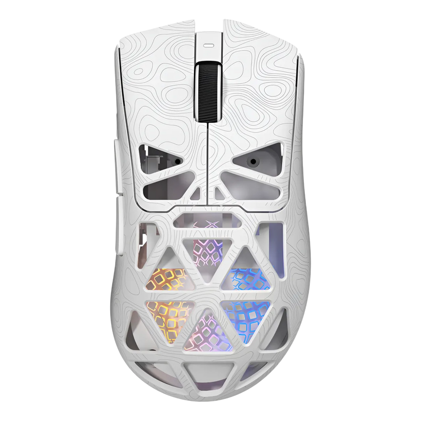 RapidLynx