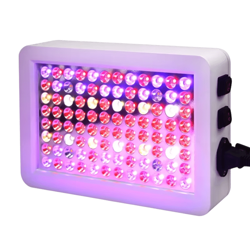 SpectraBloom