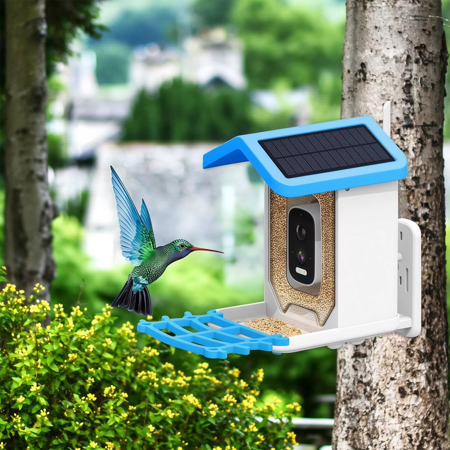 AviarIQ