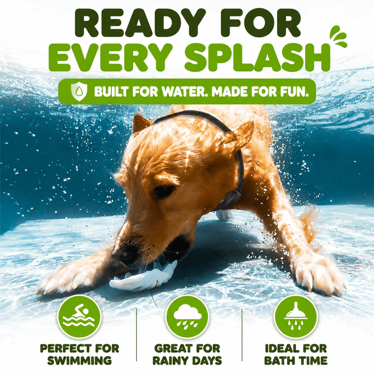 regen-caninevolt-puppimate-image-08_665d40af-88a7-48db-a8b0-451145abb64c-regen