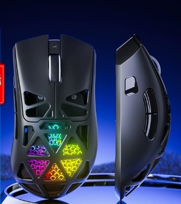 RapidLynx
