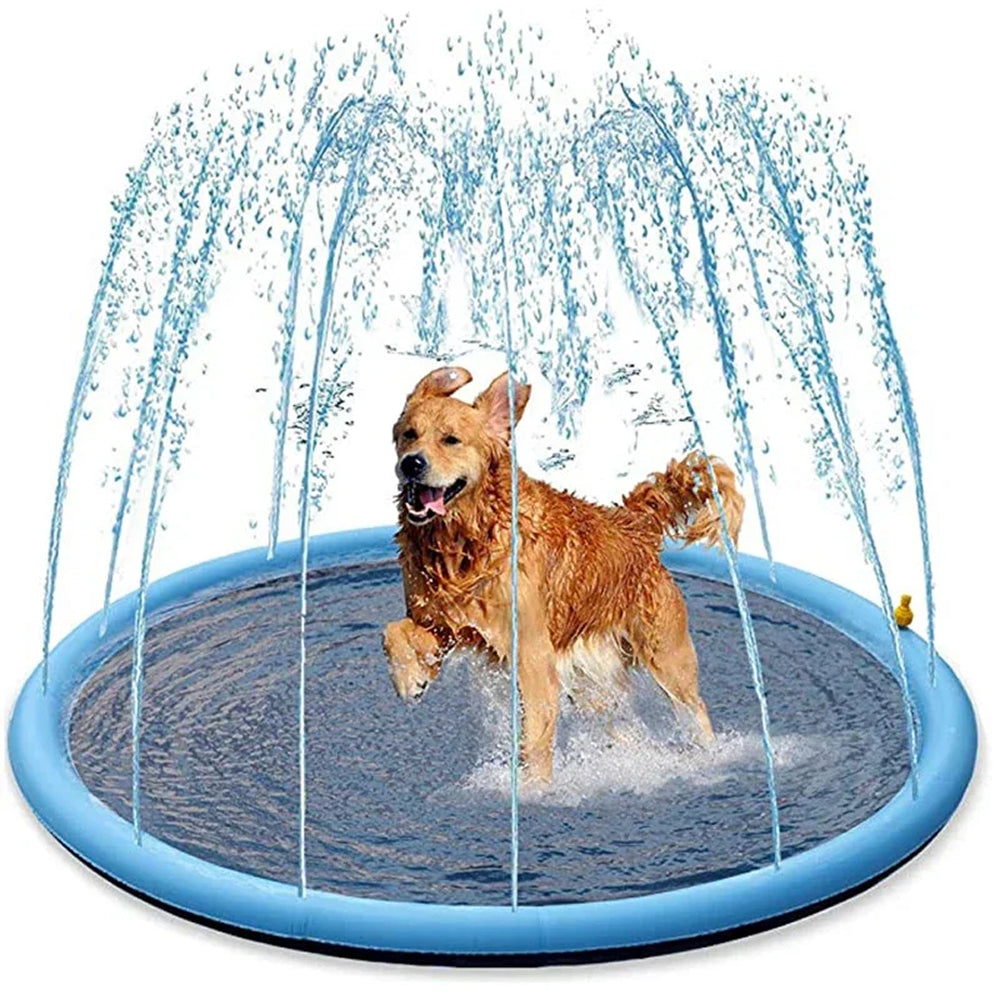 SplashMutt