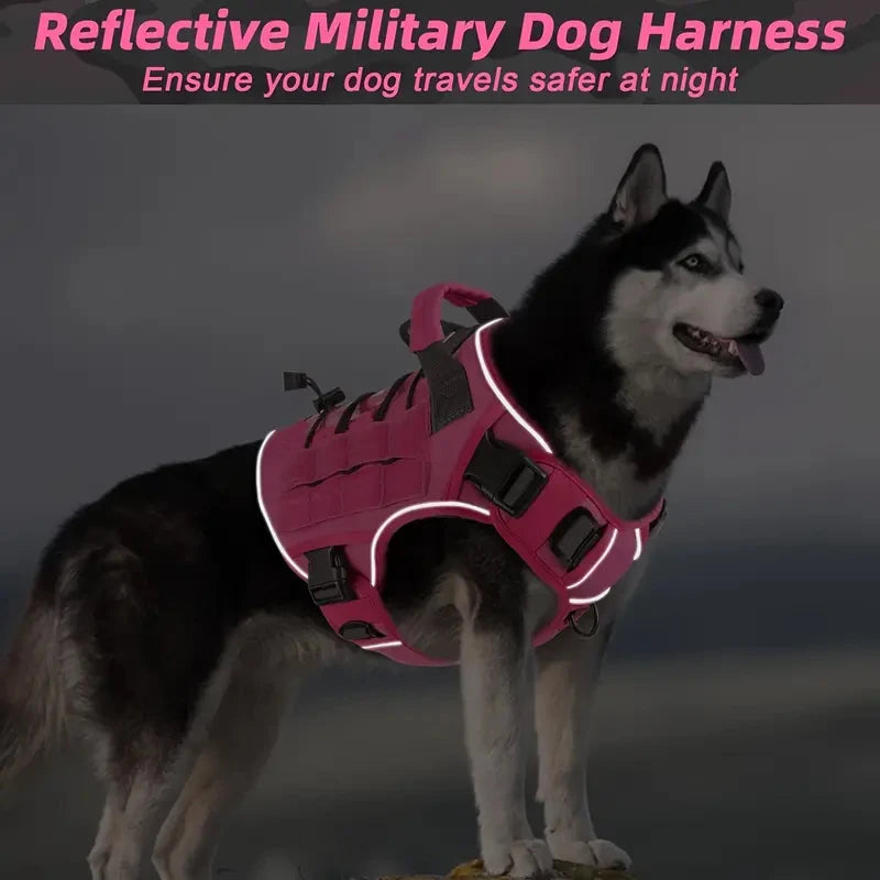TactiPaw