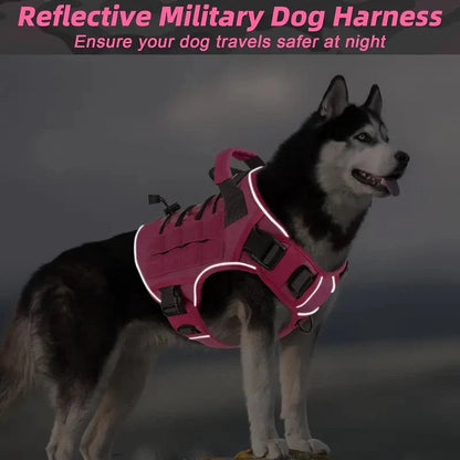 TactiPaw
