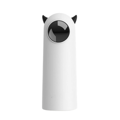 PounceRay