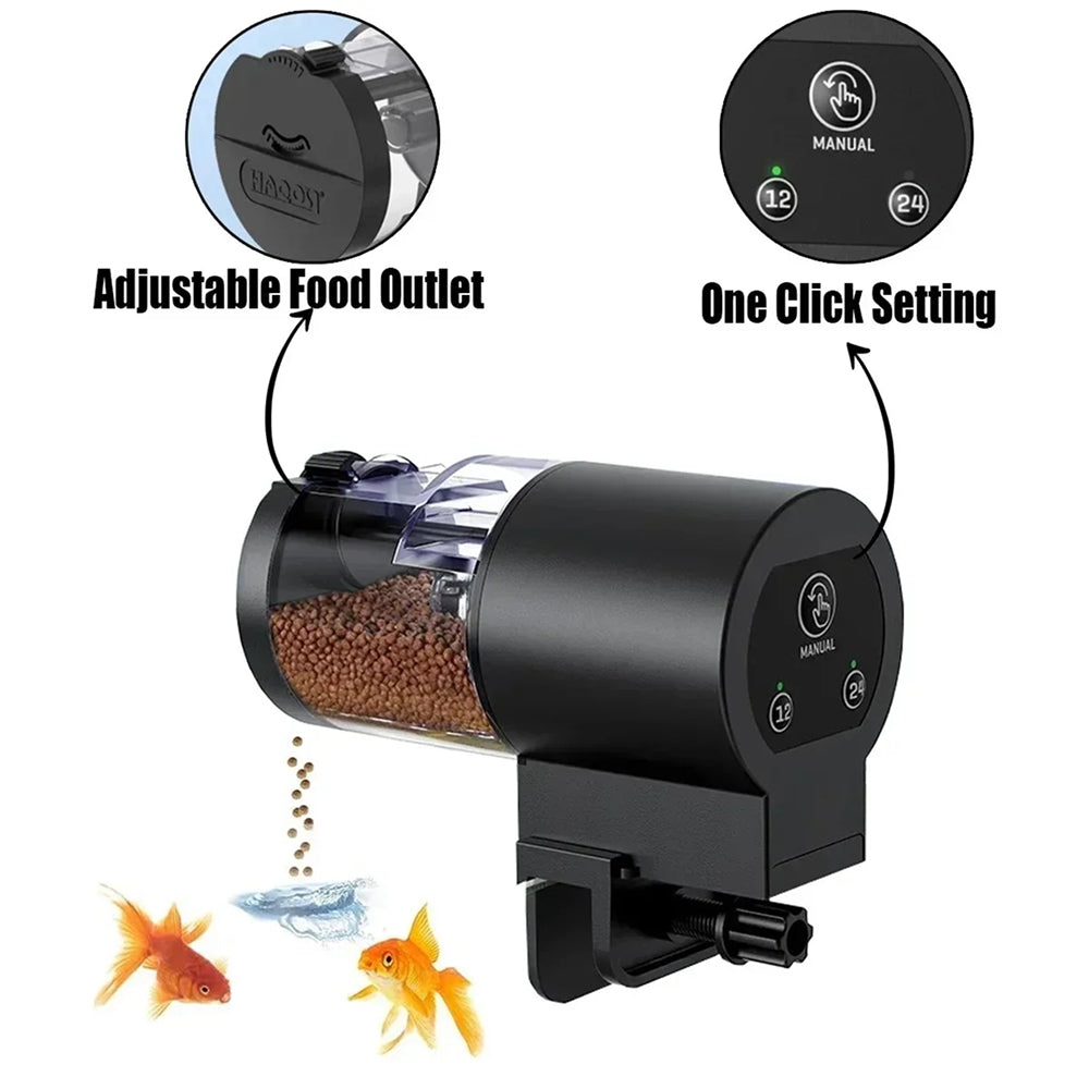 AquaCadence