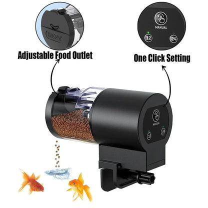 AquaCadence