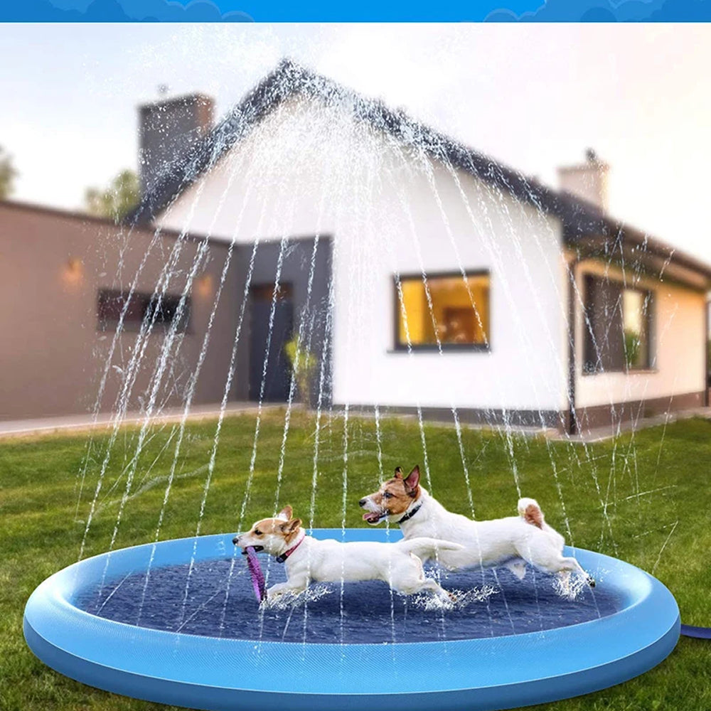 SplashMutt