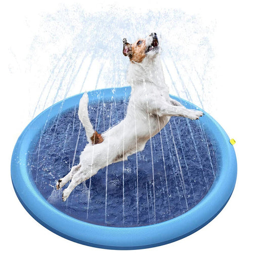 SplashMutt