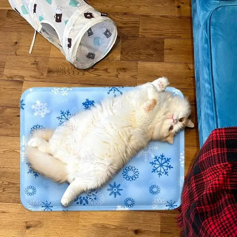 ChillPawz