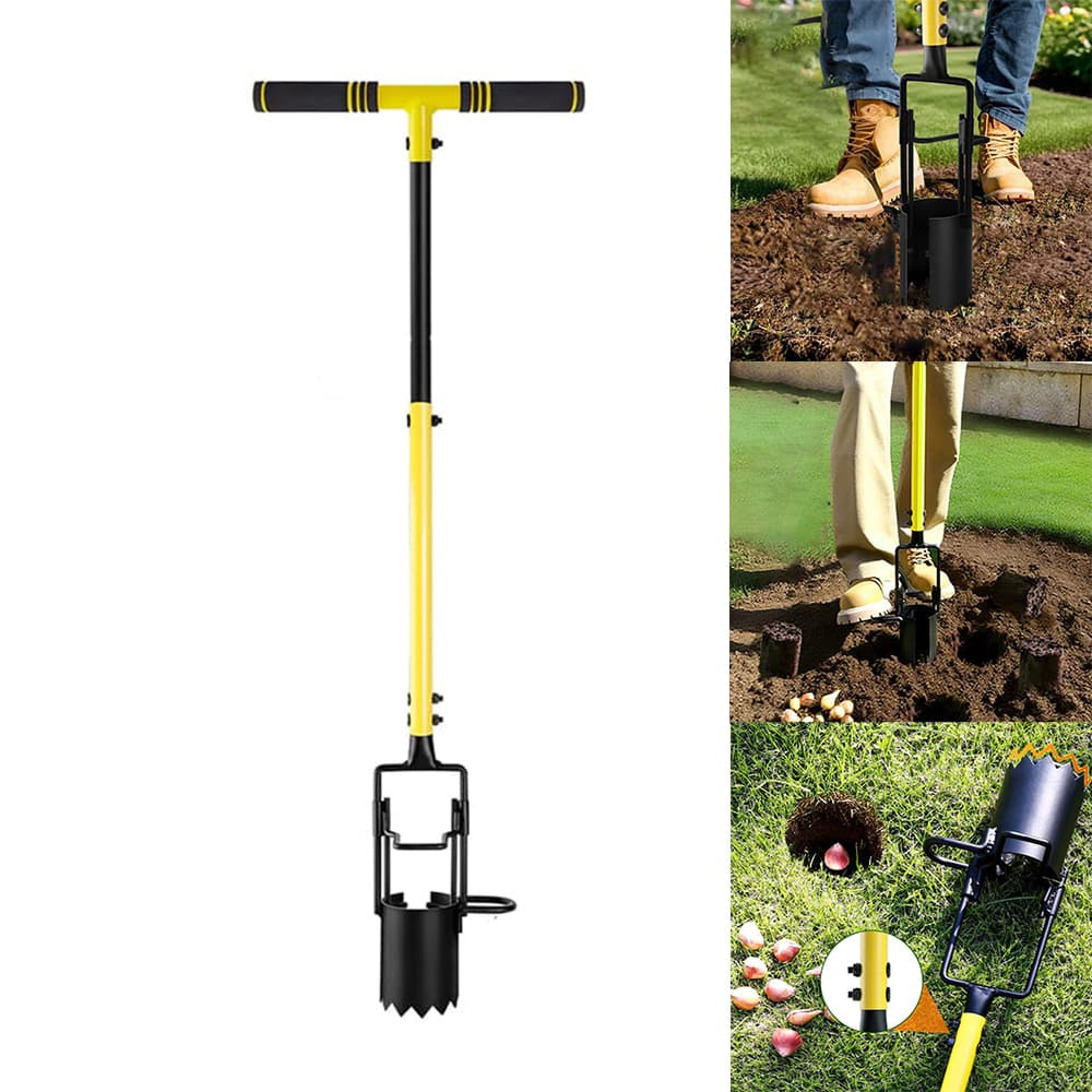 SteadyDig