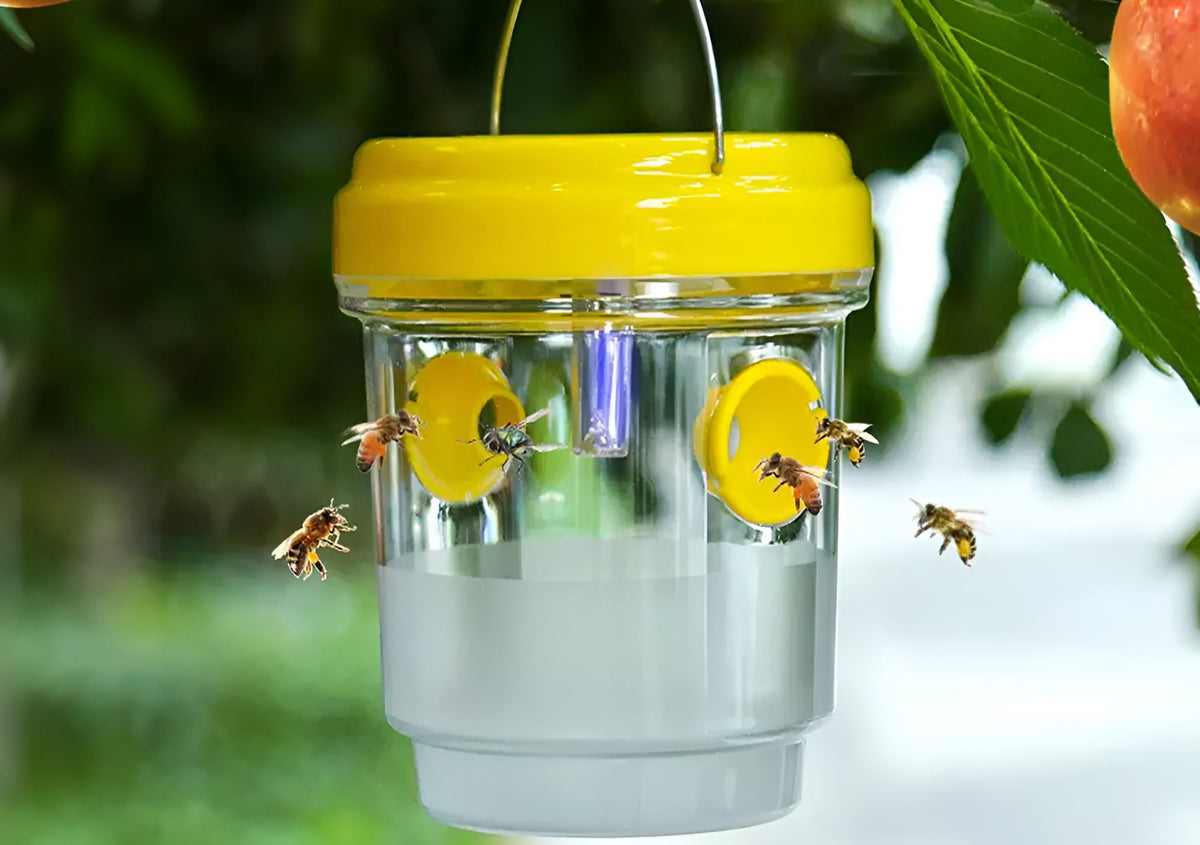 WaspSentry