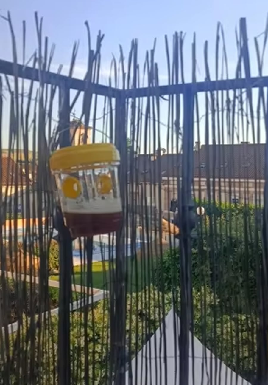 WaspSentry
