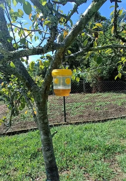 WaspSentry