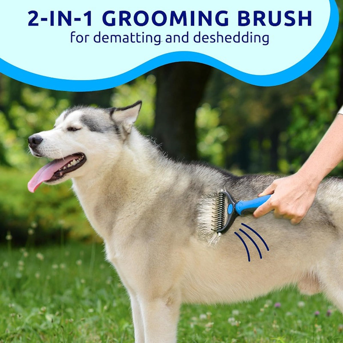 Coatiq