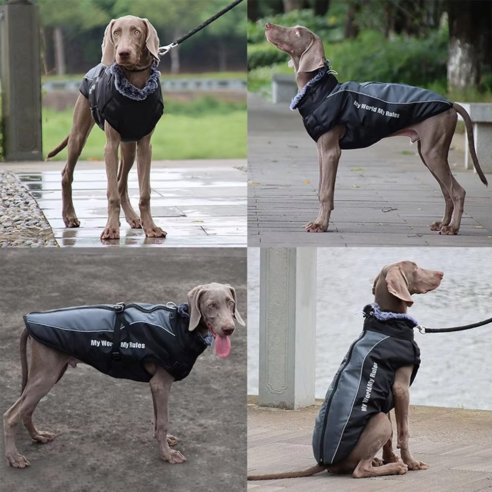 HoundWrap