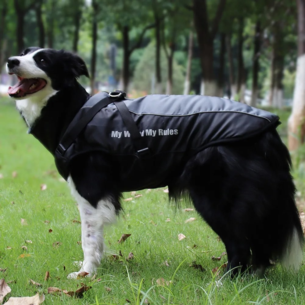 HoundWrap