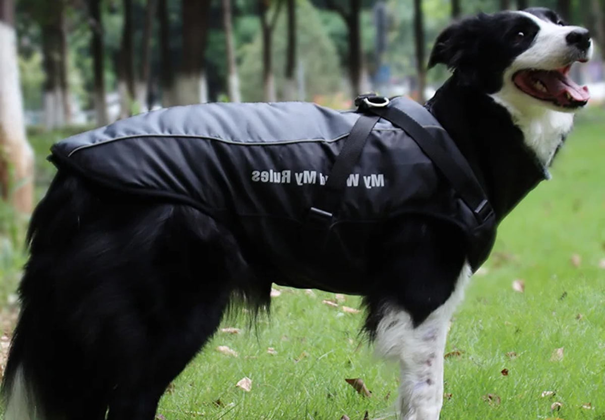 HoundWrap