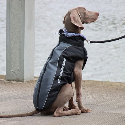 HoundWrap