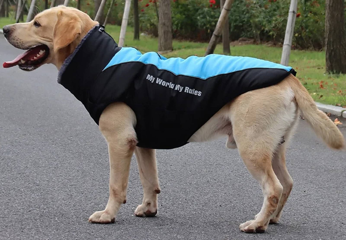 HoundWrap