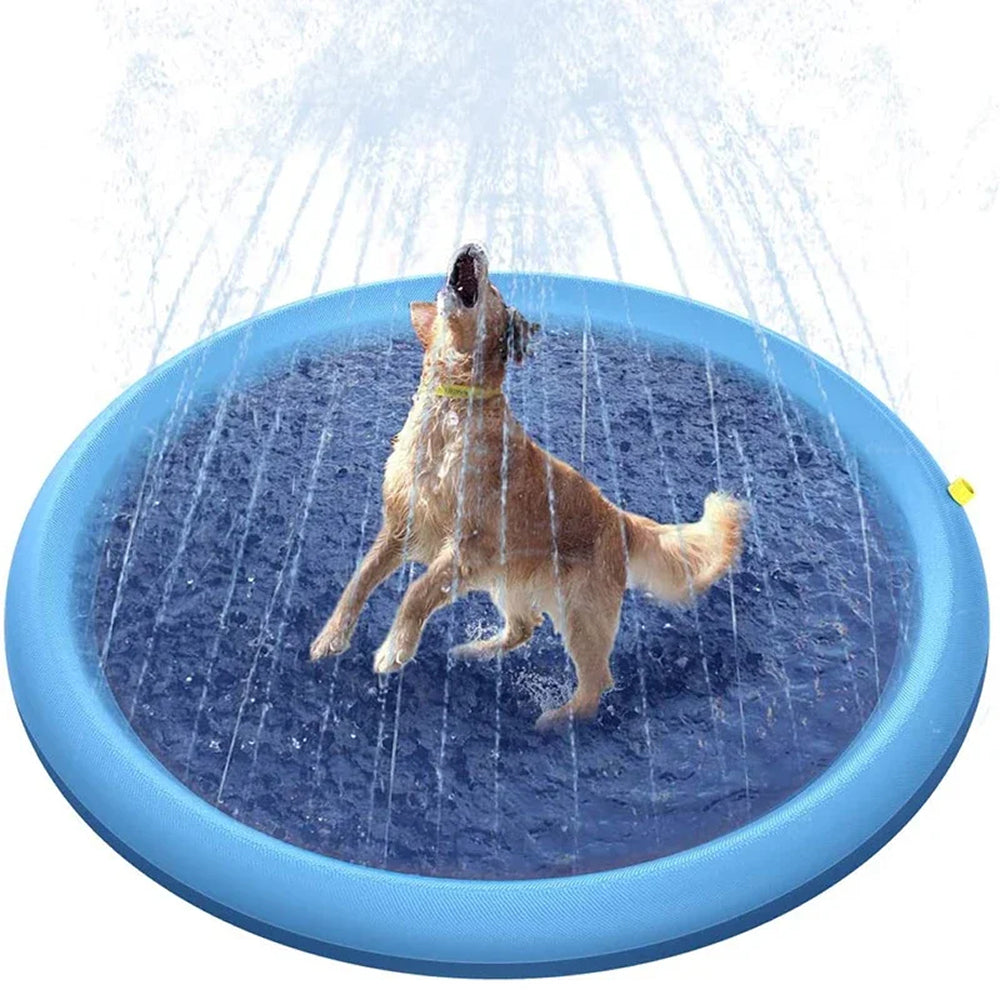 SplashMutt