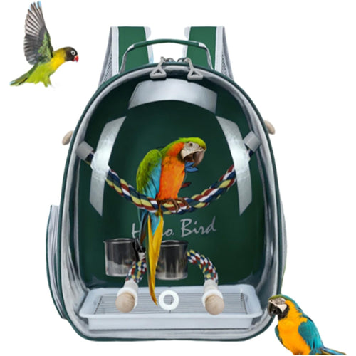 AviaPod