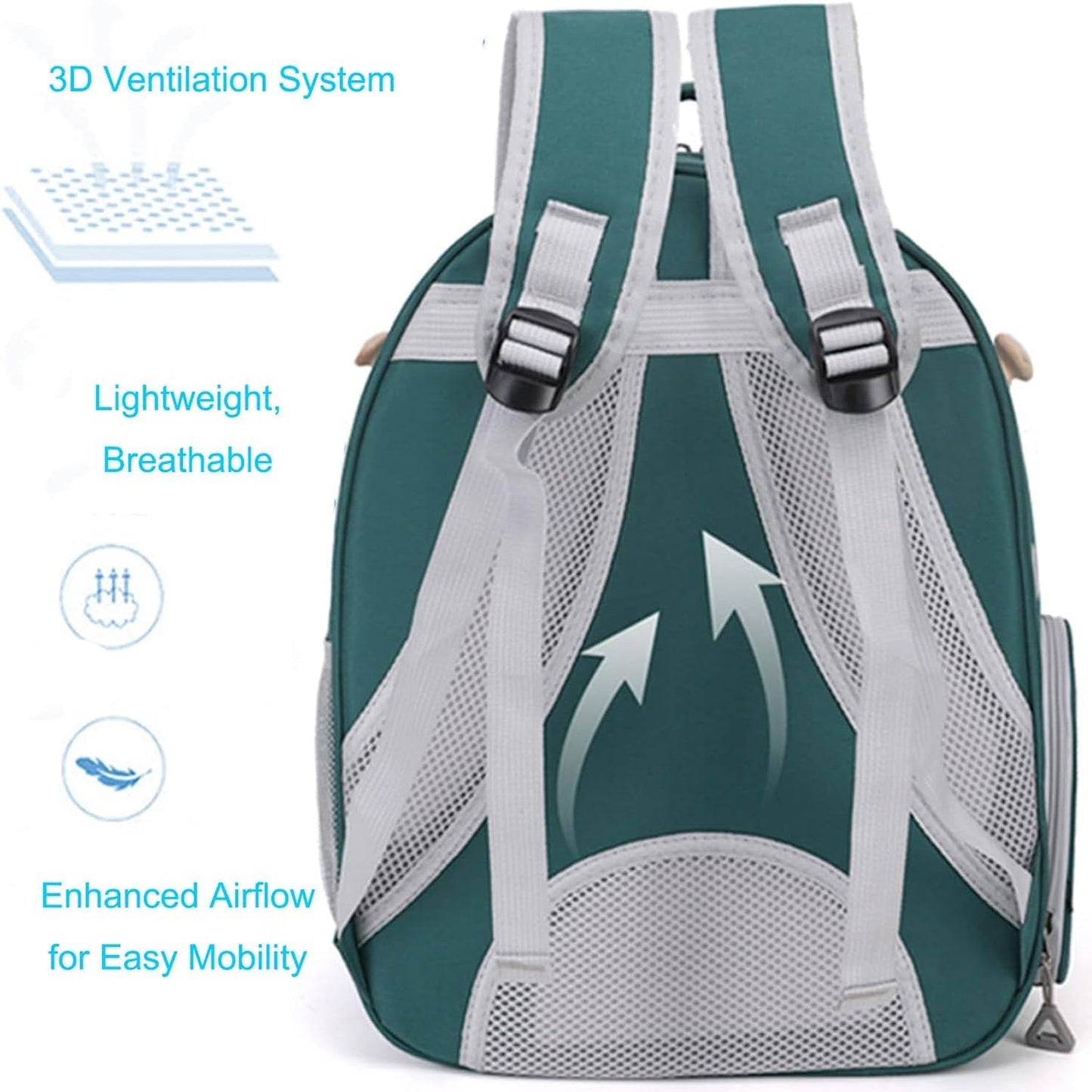 AviaPod