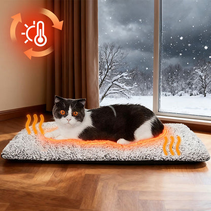 PurrNest