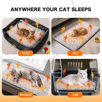 PurrNest