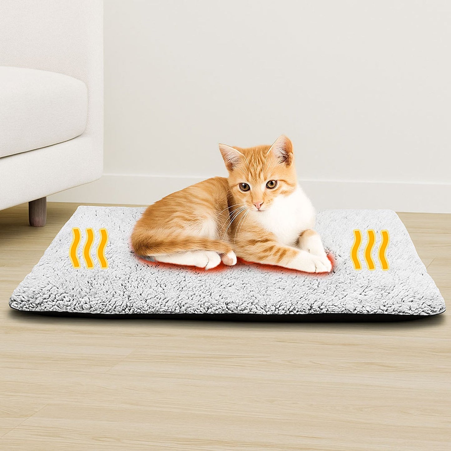 PurrNest