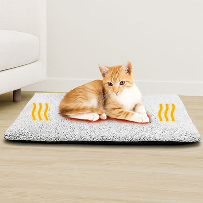 PurrNest