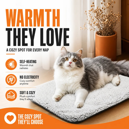 PurrNest