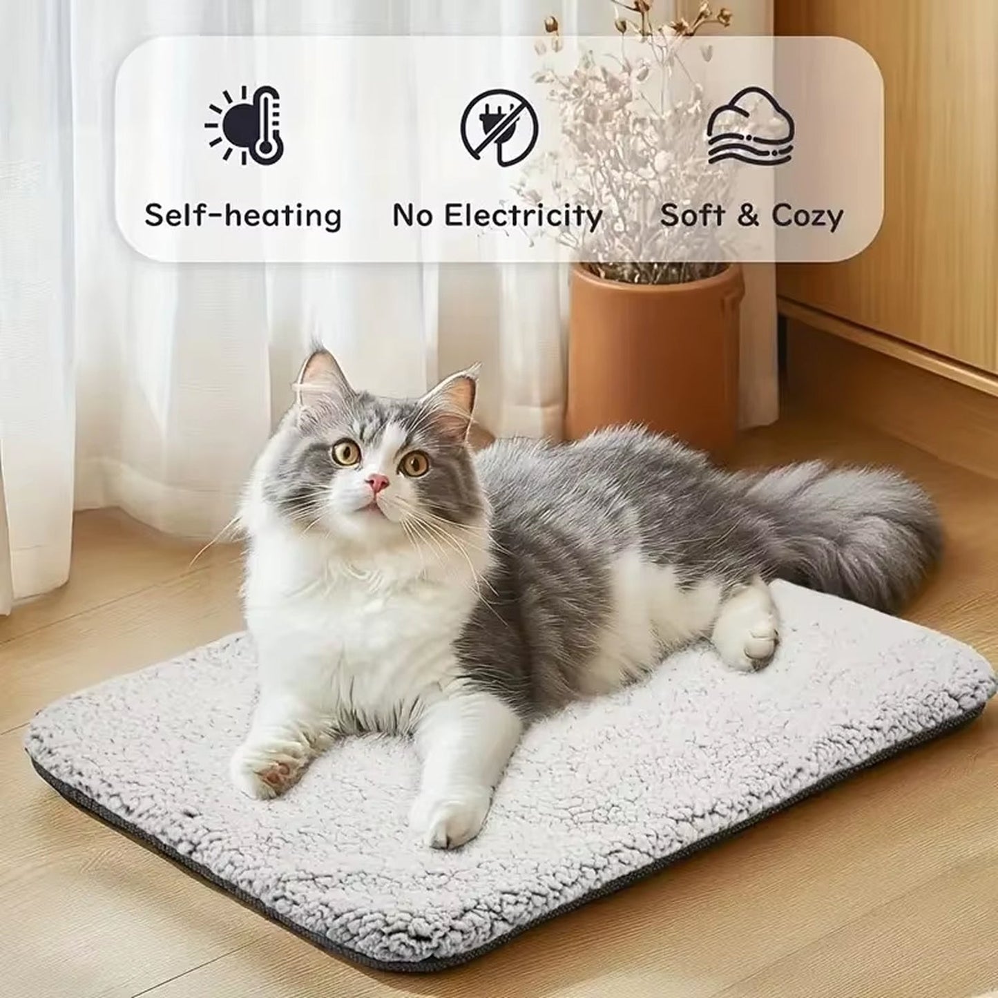 PurrNest