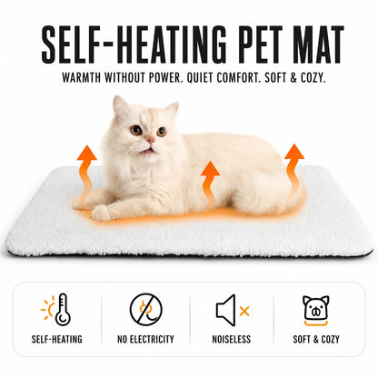 PurrNest