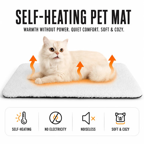 PurrNest