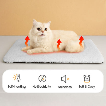 PurrNest