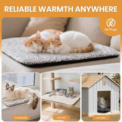 PurrNest