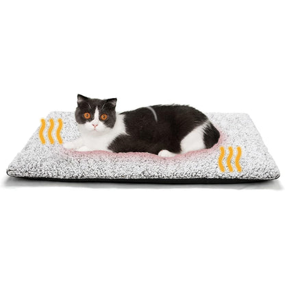 PurrNest