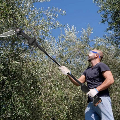 ArborSaber