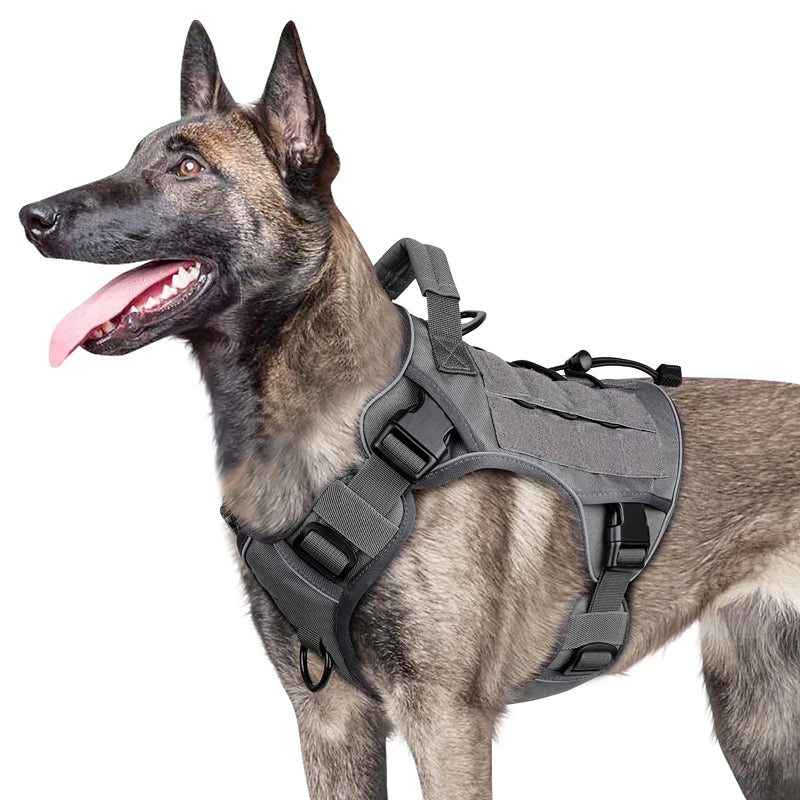 TactiPaw