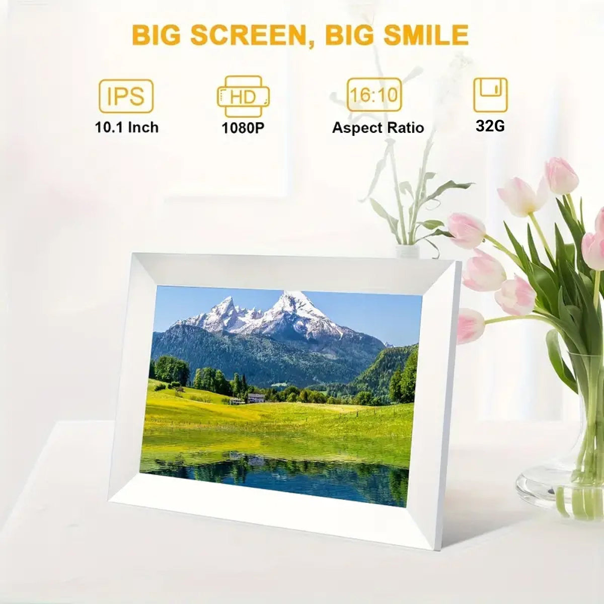 PictaVue