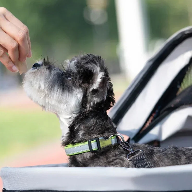 PawVoyage Stroller