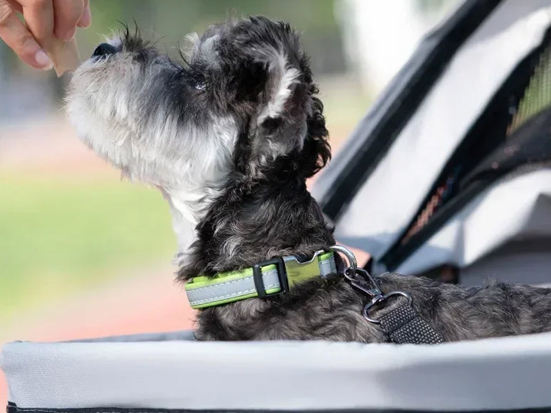PawVoyage Stroller