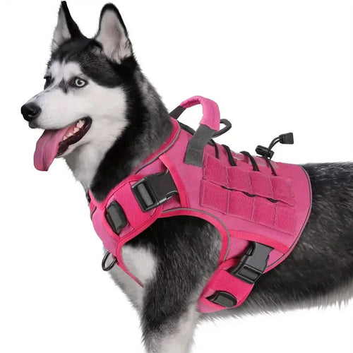 TactiPaw