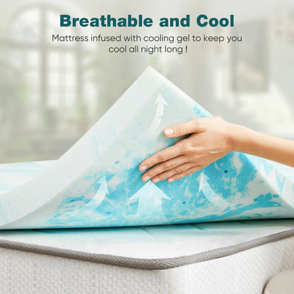 CloudBerth