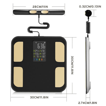 BodyMetrix Pro