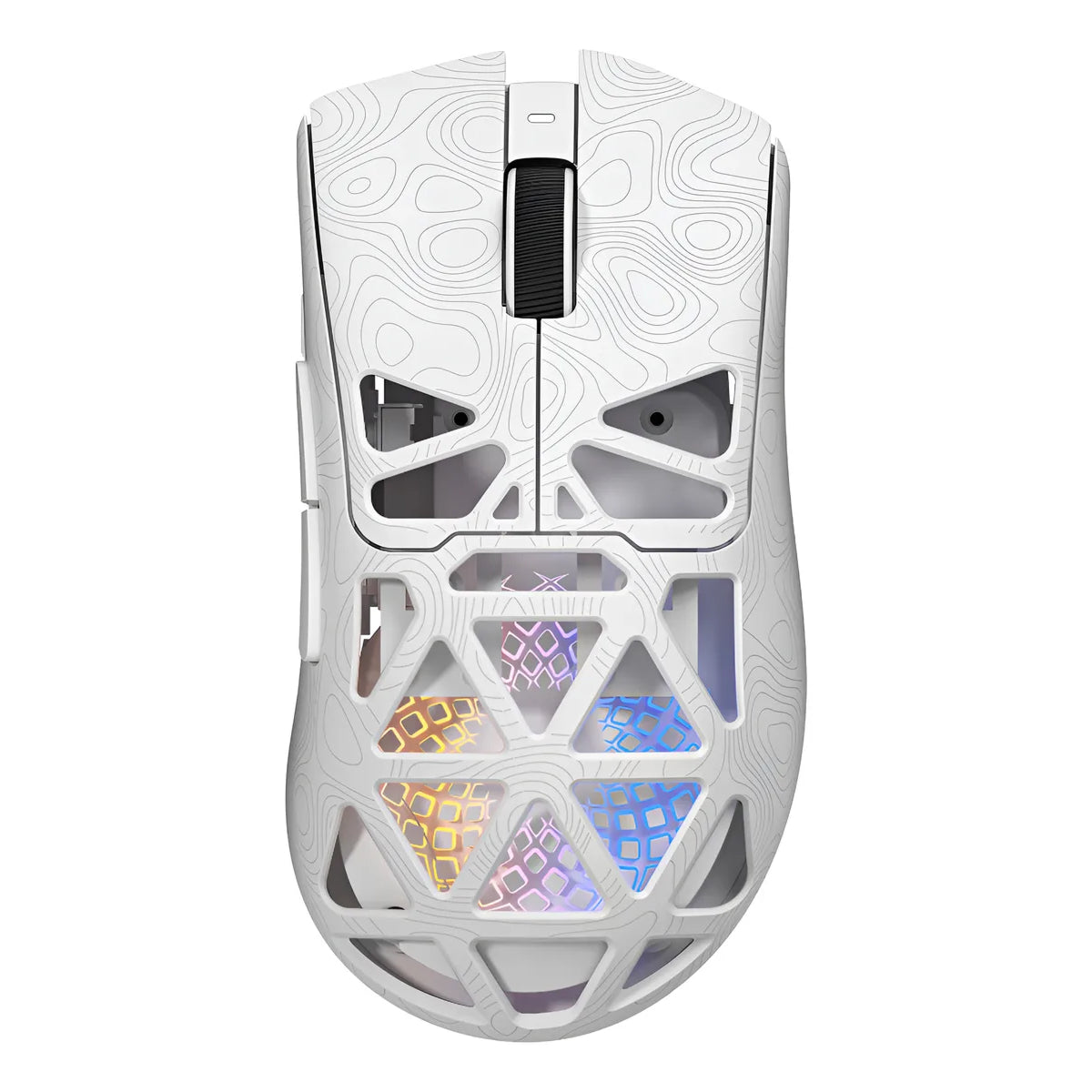 RapidLynx
