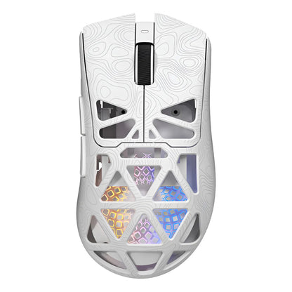 RapidLynx
