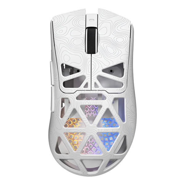 RapidLynx